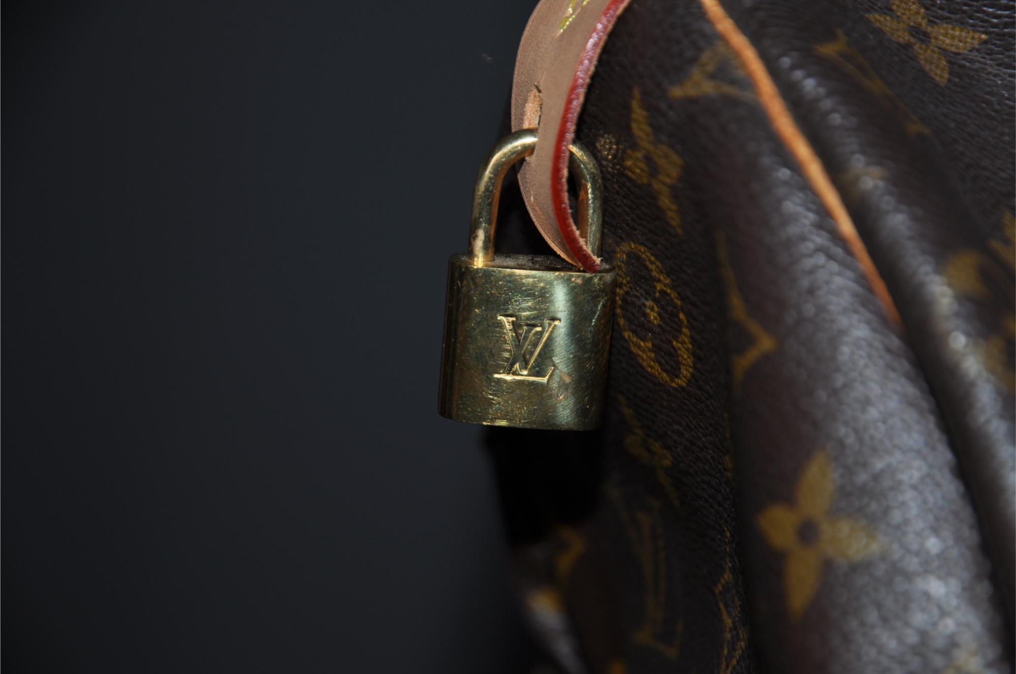 Louis Vuitton Speedy 35